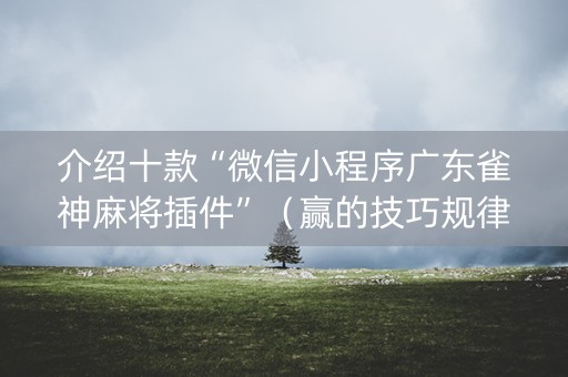 介绍十款“微信小程序广东雀神麻将插件”（赢的技巧规律)