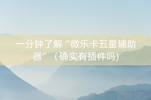 一分钟了解“微乐卡五星辅助器”（确实有插件吗)
