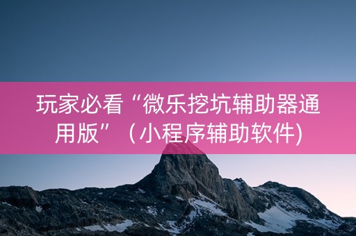 玩家必看“微乐挖坑辅助器通用版”（小程序辅助软件)