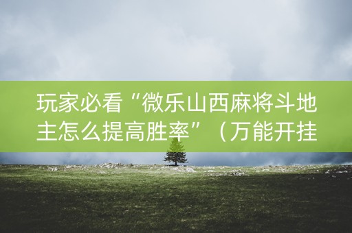 玩家必看“微乐山西麻将斗地主怎么提高胜率”（万能开挂器)