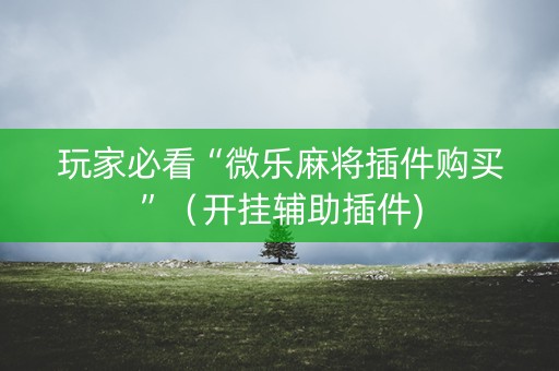 玩家必看“微乐麻将插件购买”（开挂辅助插件)