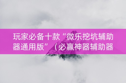 玩家必备十款“微乐挖坑辅助器通用版”（必赢神器辅助器)