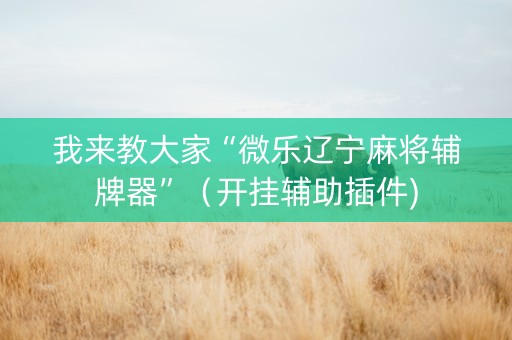 我来教大家“微乐辽宁麻将辅牌器”（开挂辅助插件)