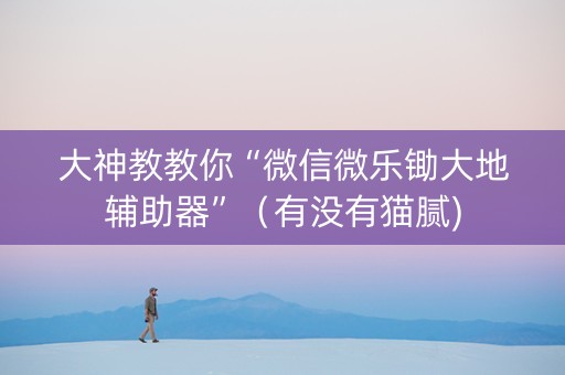 大神教教你“微信微乐锄大地辅助器”（有没有猫腻)