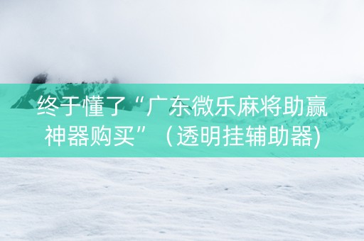 终于懂了“广东微乐麻将助赢神器购买”（透明挂辅助器)
