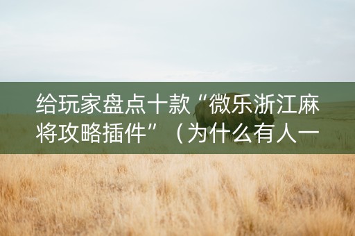 给玩家盘点十款“微乐浙江麻将攻略插件”（为什么有人一直赢)
