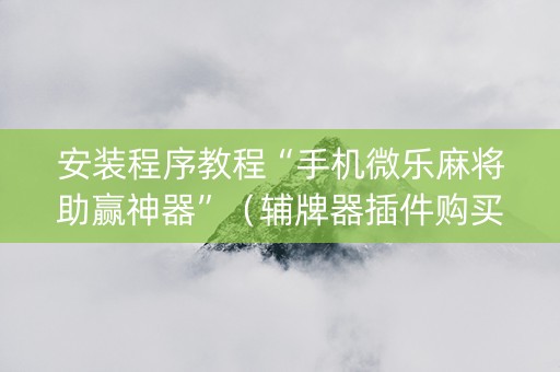 安装程序教程“手机微乐麻将助赢神器”（辅牌器插件购买)