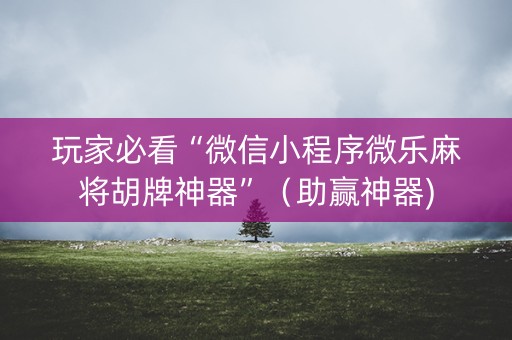 玩家必看“微信小程序微乐麻将胡牌神器”（助赢神器)