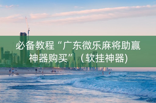必备教程“广东微乐麻将助赢神器购买”（软挂神器)
