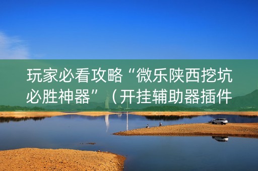 玩家必看攻略“微乐陕西挖坑必胜神器”（开挂辅助器插件)