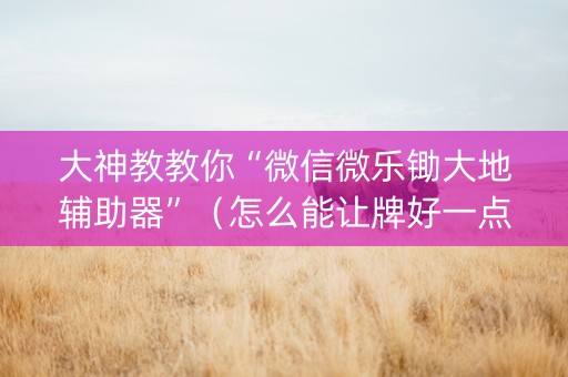 大神教教你“微信微乐锄大地辅助器”（怎么能让牌好一点)