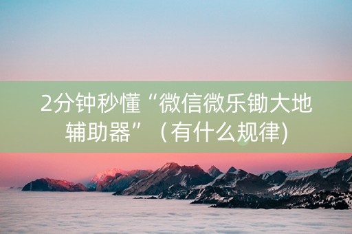 2分钟秒懂“微信微乐锄大地辅助器”（有什么规律)