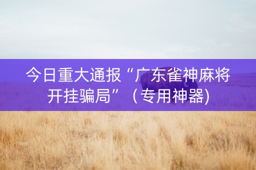 今日重大通报“广东雀神麻将开挂骗局”（专用神器)