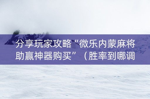 分享玩家攻略“微乐内蒙麻将助赢神器购买”（胜率到哪调)
