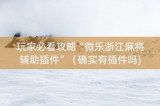 玩家必看攻略“微乐浙江麻将辅助插件”（确实有插件吗)