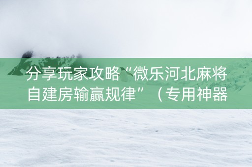 分享玩家攻略“微乐河北麻将自建房输赢规律”（专用神器)