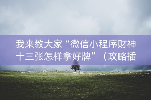 我来教大家“微信小程序财神十三张怎样拿好牌”（攻略插件)