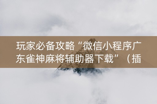 玩家必备攻略“微信小程序广东雀神麻将辅助器下载”（插件开挂免费AI)