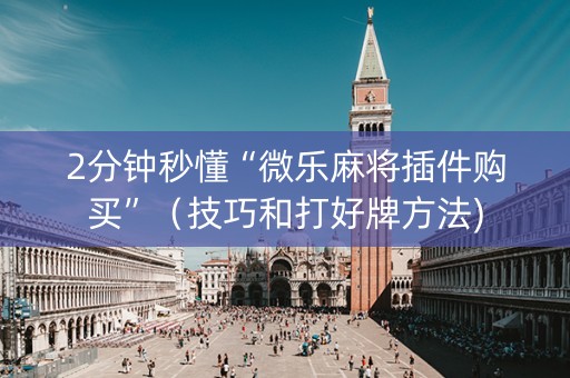 2分钟秒懂“微乐麻将插件购买”（技巧和打好牌方法)