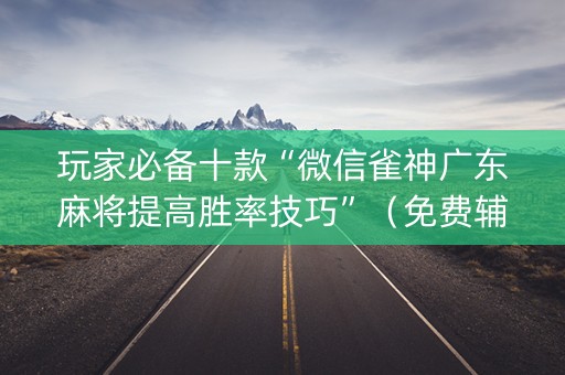 玩家必备十款“微信雀神广东麻将提高胜率技巧”（免费辅助)