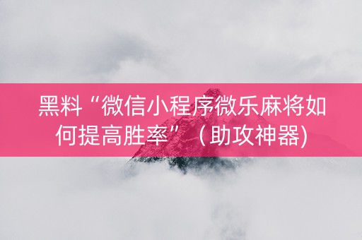 黑料“微信小程序微乐麻将如何提高胜率”（助攻神器)