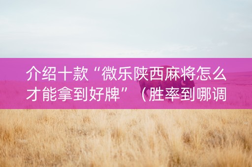 介绍十款“微乐陕西麻将怎么才能拿到好牌”（胜率到哪调)