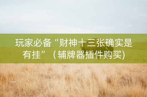 玩家必备“财神十三张确实是有挂”（辅牌器插件购买)