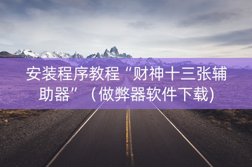 安装程序教程“财神十三张辅助器”（做弊器软件下载)