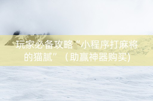 玩家必备攻略“小程序打麻将的猫腻”（助赢神器购买)