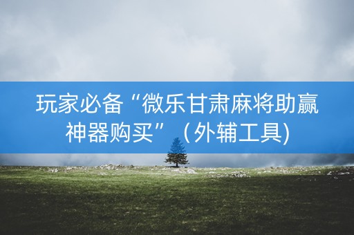 玩家必备“微乐甘肃麻将助赢神器购买”（外辅工具)