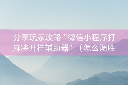 分享玩家攻略“微信小程序打麻将开挂辅助器”（怎么调胜率)