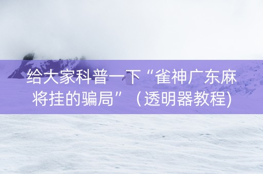 给大家科普一下“雀神广东麻将挂的骗局”（透明器教程)