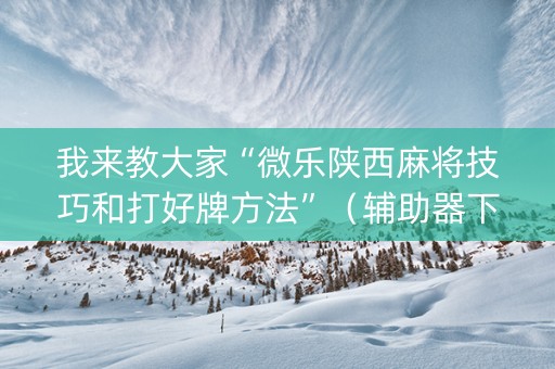 我来教大家“微乐陕西麻将技巧和打好牌方法”（辅助器下载)