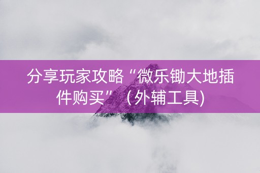分享玩家攻略“微乐锄大地插件购买”（外辅工具)