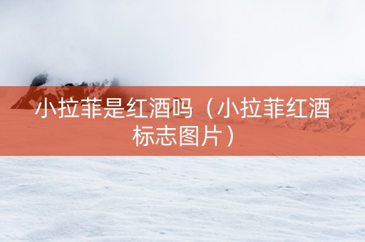小拉菲是红酒吗（小拉菲红酒标志图片）