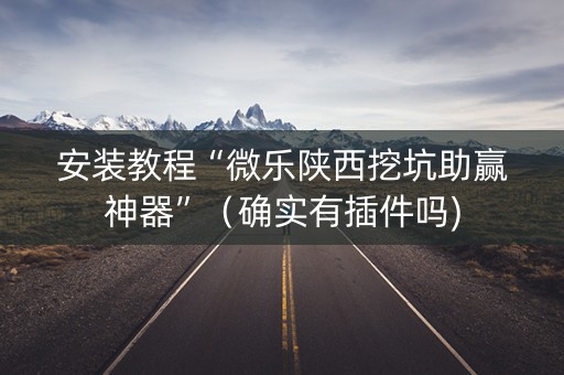 安装教程“微乐陕西挖坑助赢神器”（确实有插件吗)