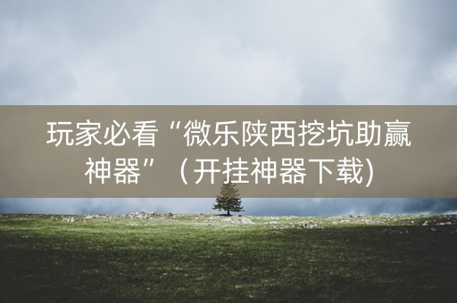 玩家必看“微乐陕西挖坑助赢神器”（开挂神器下载)