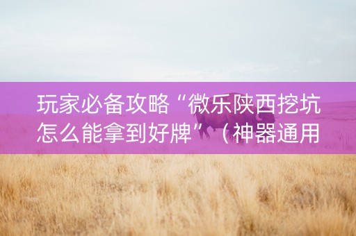 玩家必备攻略“微乐陕西挖坑怎么能拿到好牌”（神器通用版)