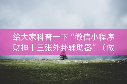 给大家科普一下“微信小程序财神十三张外卦辅助器”（做弊器软件下载)