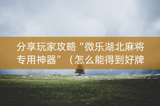 分享玩家攻略“微乐湖北麻将专用神器”（怎么能得到好牌)