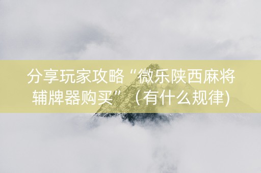 分享玩家攻略“微乐陕西麻将辅牌器购买”（有什么规律)