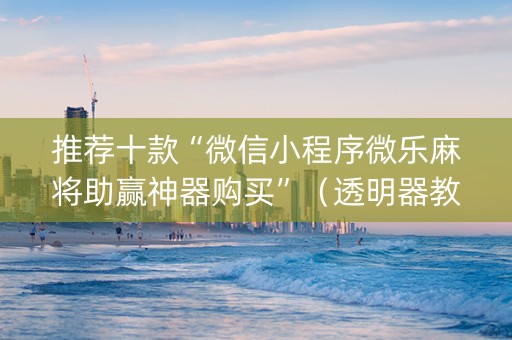 推荐十款“微信小程序微乐麻将助赢神器购买”（透明器教程)