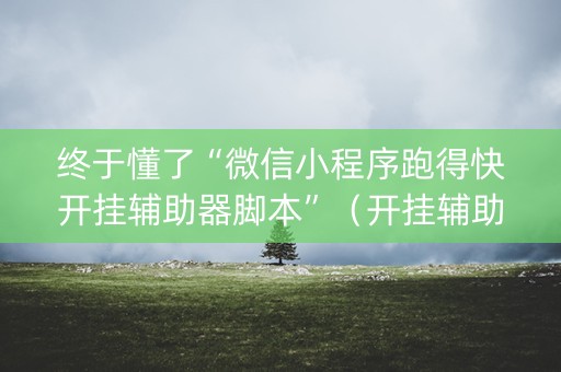 终于懂了“微信小程序跑得快开挂辅助器脚本”（开挂辅助插件)