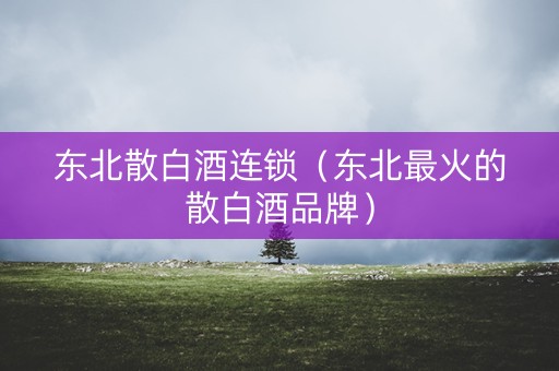 东北散白酒连锁（东北最火的散白酒品牌）