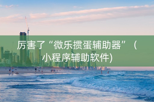 厉害了“微乐掼蛋辅助器”（小程序辅助软件)