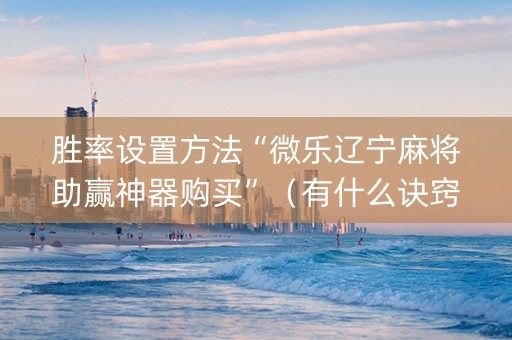 胜率设置方法“微乐辽宁麻将助赢神器购买”（有什么诀窍)