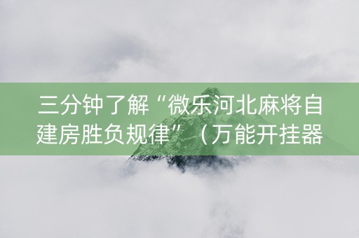 三分钟了解“微乐河北麻将自建房胜负规律”（万能开挂器)