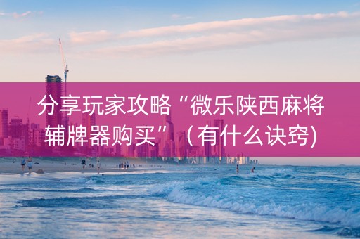 分享玩家攻略“微乐陕西麻将辅牌器购买”（有什么诀窍)