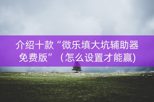 介绍十款“微乐填大坑辅助器免费版”（怎么设置才能赢)