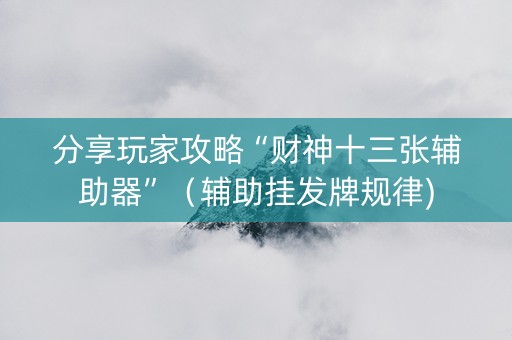 分享玩家攻略“财神十三张辅助器”（辅助挂发牌规律)